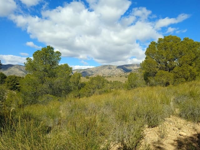 Mark till salu i Aledo - 160 000 € (Ref: 9948284)
