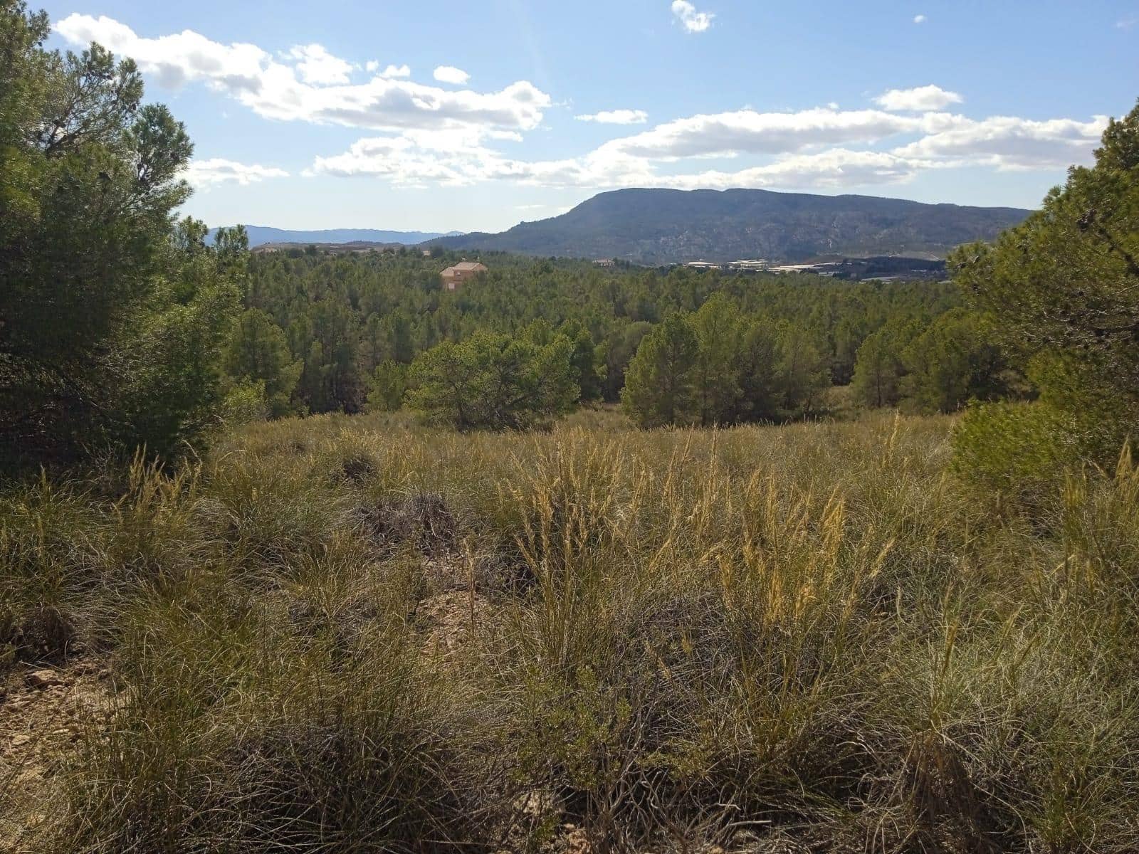 Ubebygd land til salgs i Aledo - € 160 000 (Ref: 9948284)