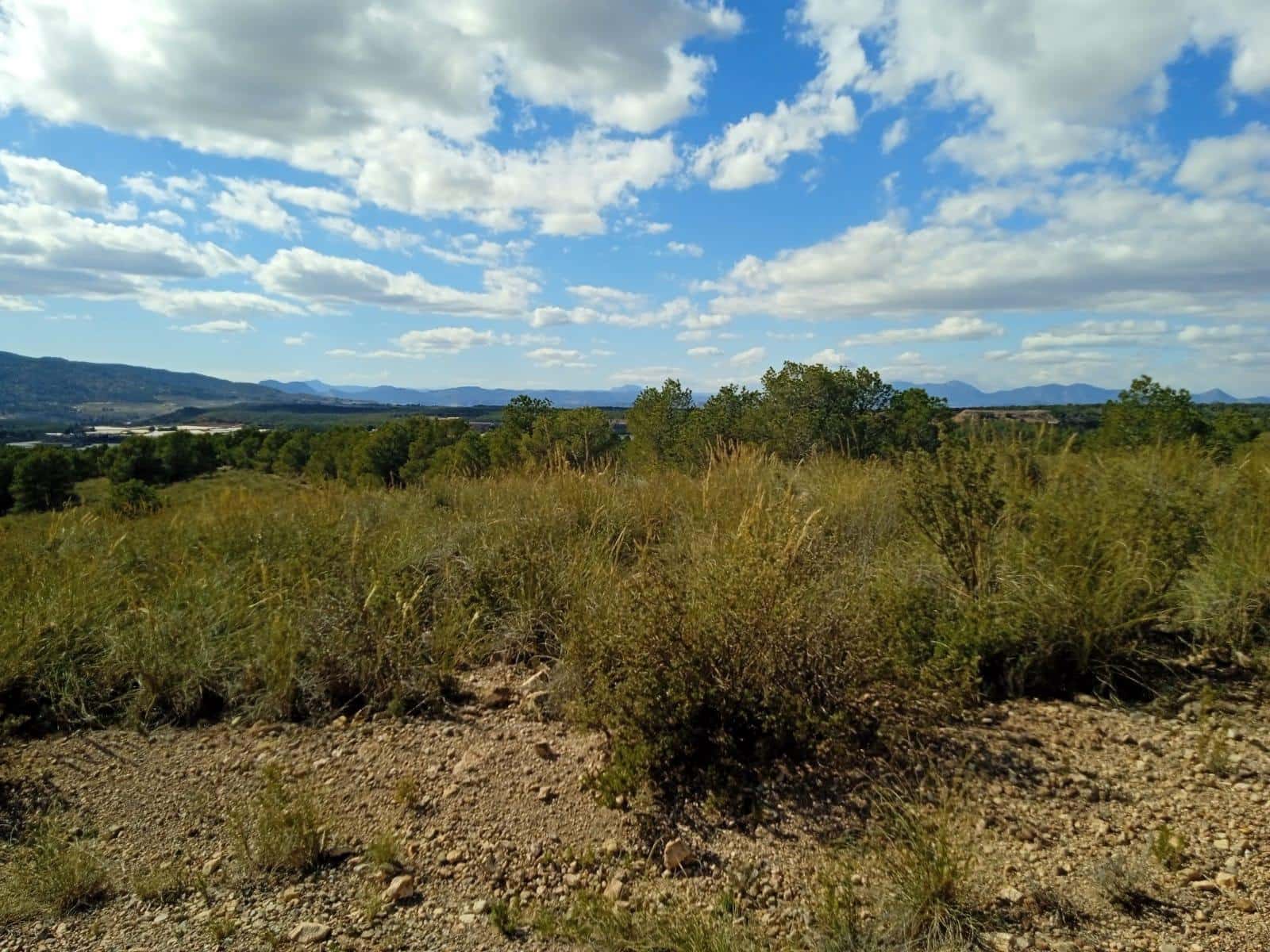Ubebygd land til salgs i Aledo - € 160 000 (Ref: 9948284)