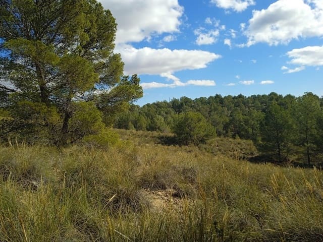 Mark till salu i Aledo - 160 000 € (Ref: 9948284)