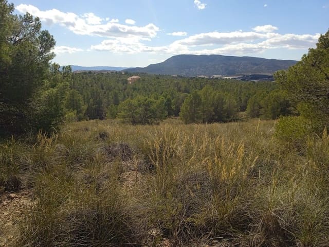 Mark till salu i Aledo - 160 000 € (Ref: 9948284)
