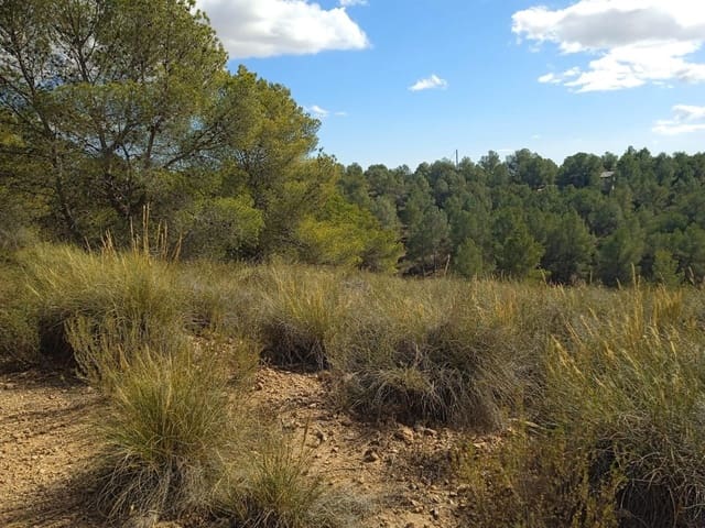 Mark till salu i Aledo - 160 000 € (Ref: 9948284)