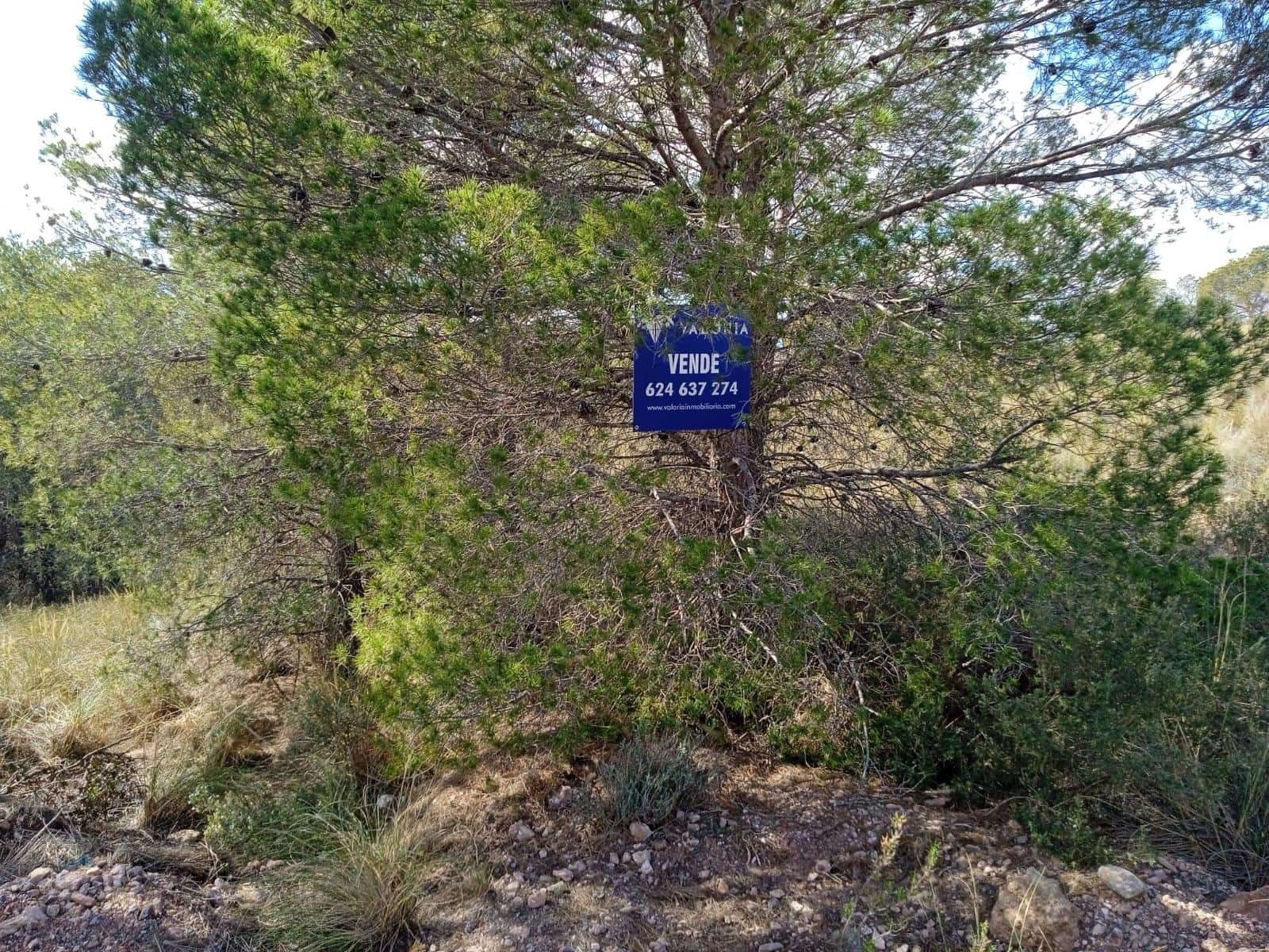 Ubebygd land til salgs i Aledo - € 160 000 (Ref: 9948284)