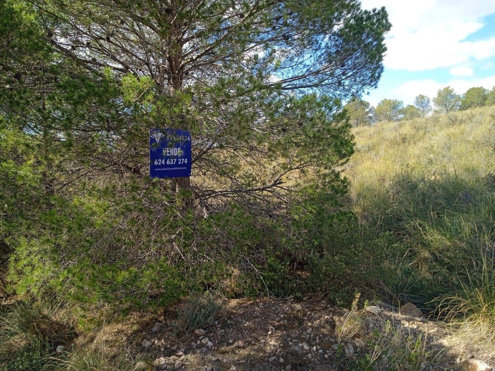 Ubebygd land til salgs i Aledo - € 160 000 (Ref: 9948284)