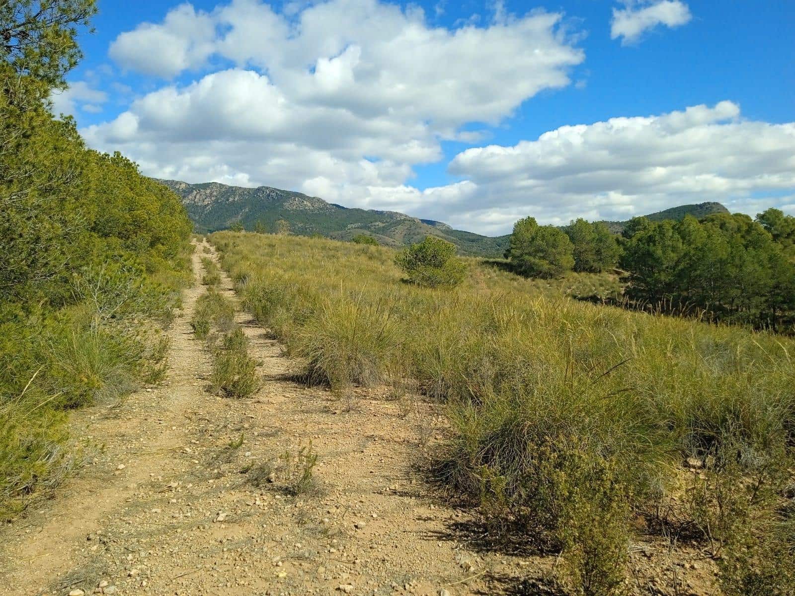 Ubebygd land til salgs i Aledo - € 160 000 (Ref: 9948284)
