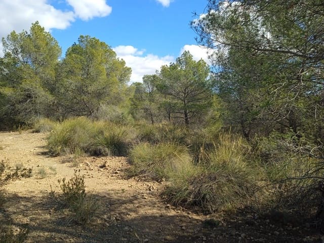 Mark till salu i Aledo - 160 000 € (Ref: 9948284)