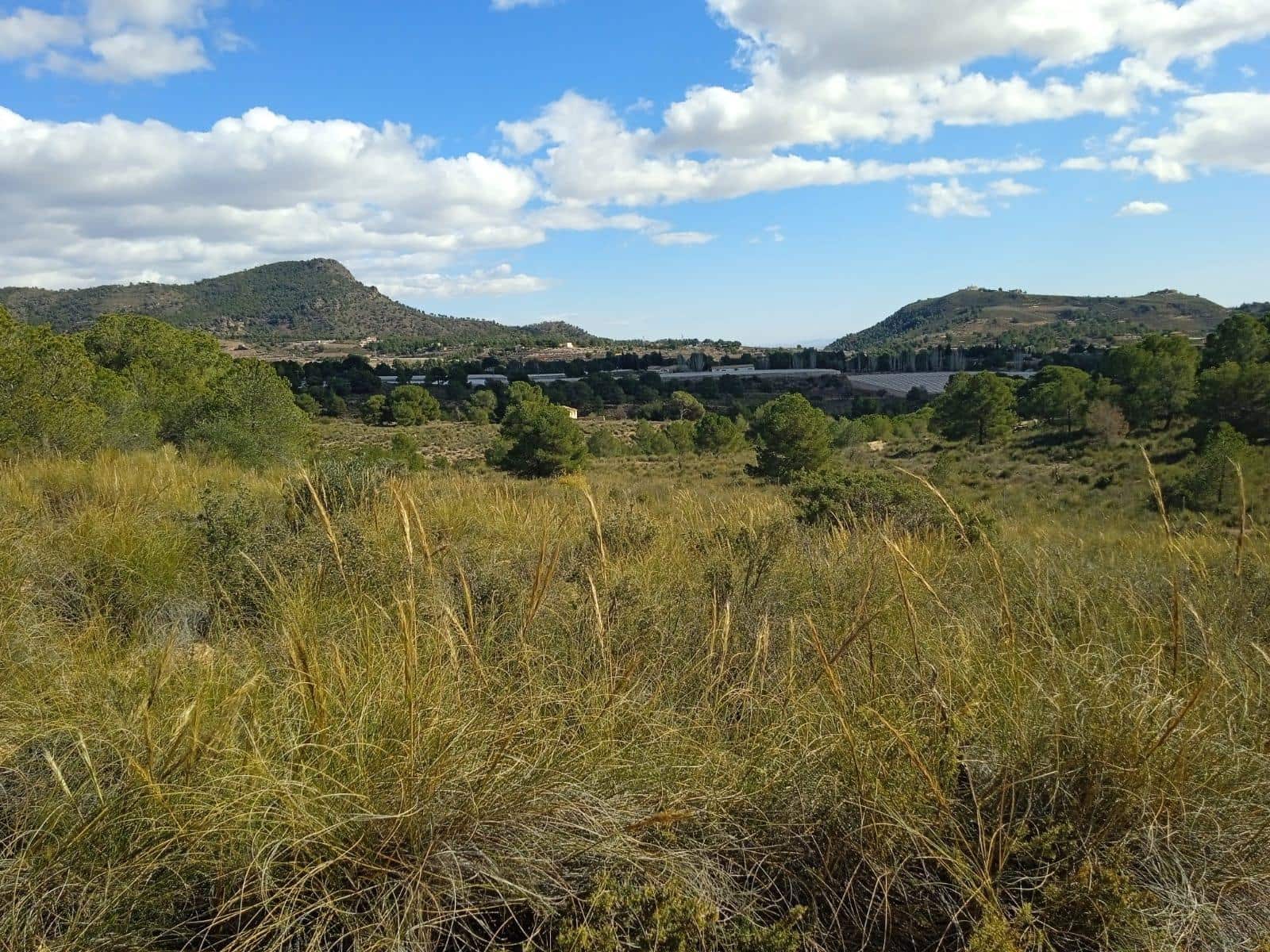 Ubebygd land til salgs i Aledo - € 160 000 (Ref: 9948284)