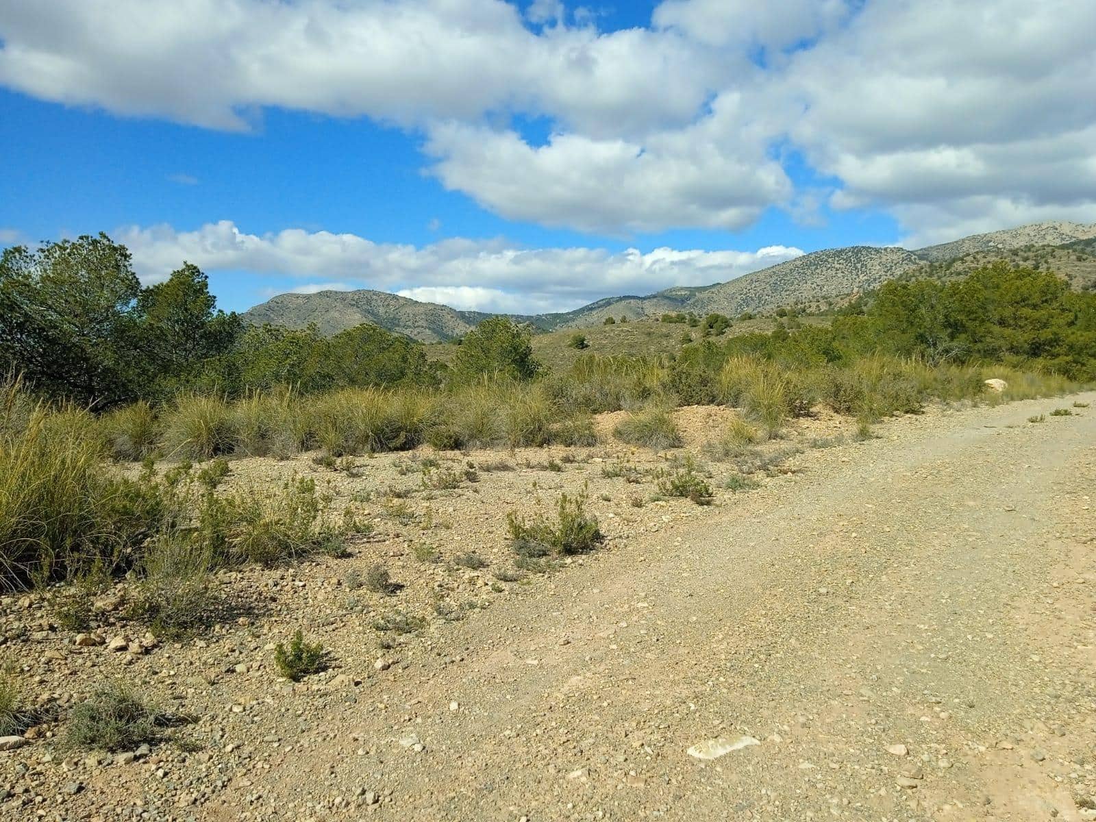 Ubebygd land til salgs i Aledo - € 160 000 (Ref: 9948284)