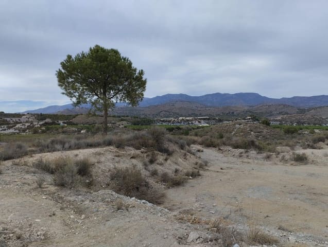 Bauplatz zu verkaufen in Totana - 45.000 € (Ref: 9948286)