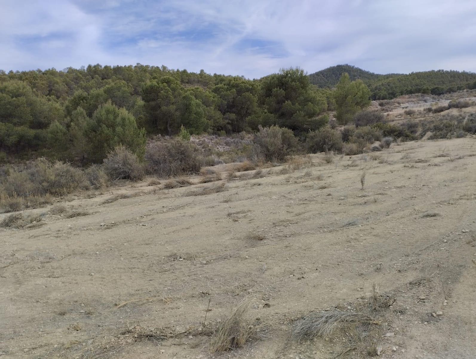 Area Edificabile in vendita in Totana - 45.000 € (Rif: 9948286)