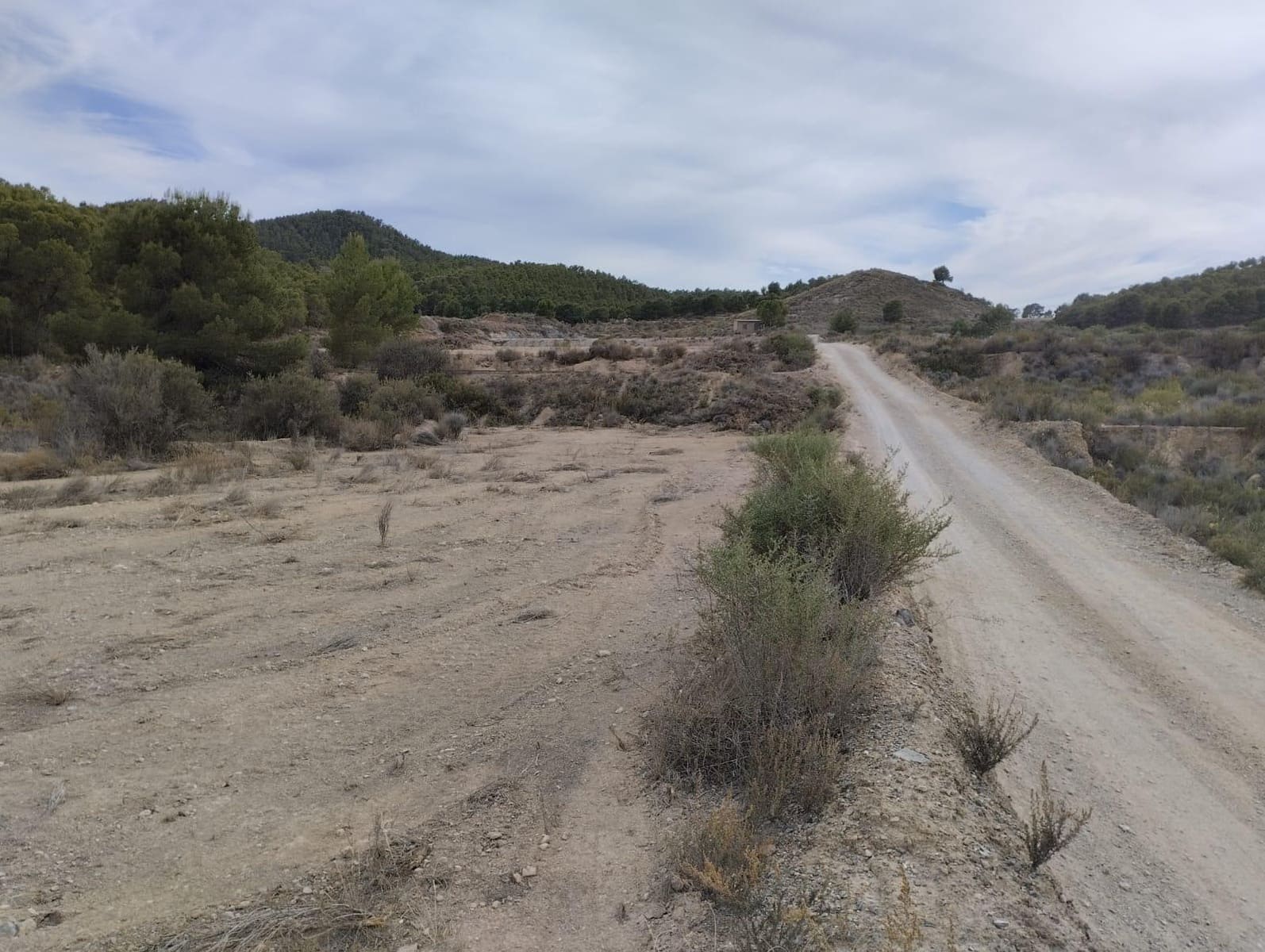 Area Edificabile in vendita in Totana - 45.000 € (Rif: 9948286)