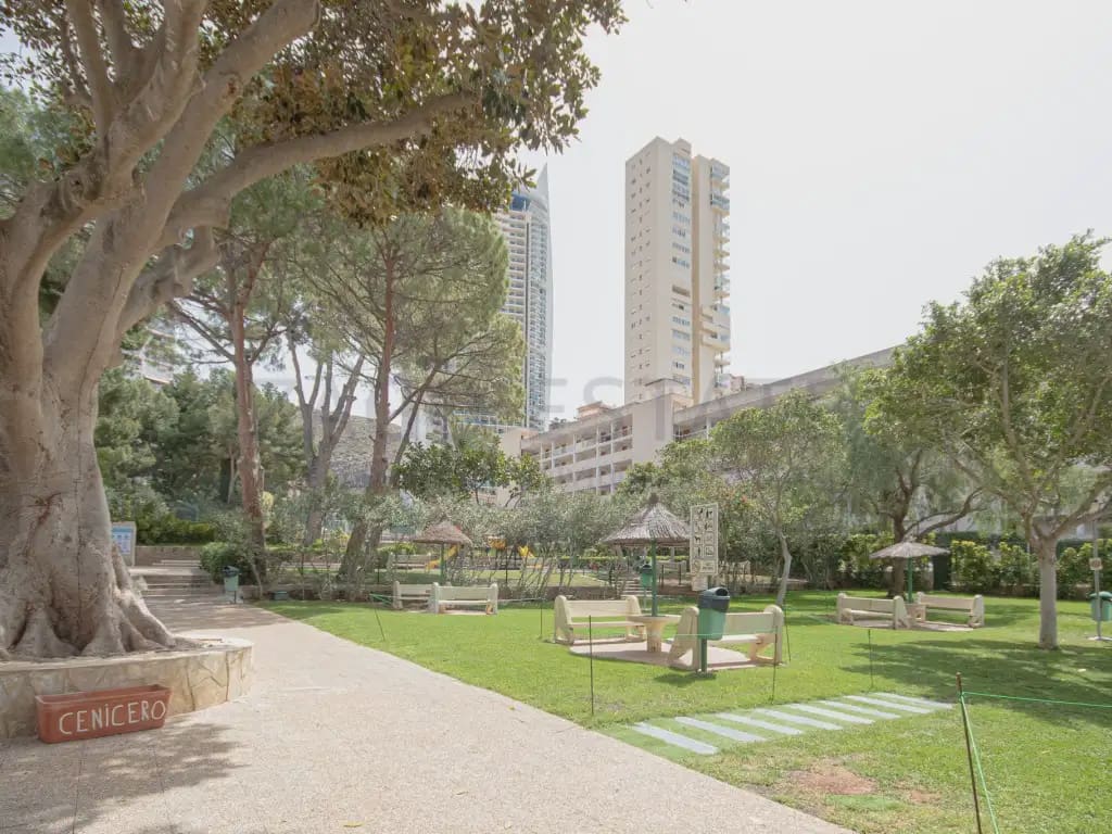 1 soveværelse Lejlighed til leje i Benidorm med swimmingpool - € 1.000 (Ref: 9761388)