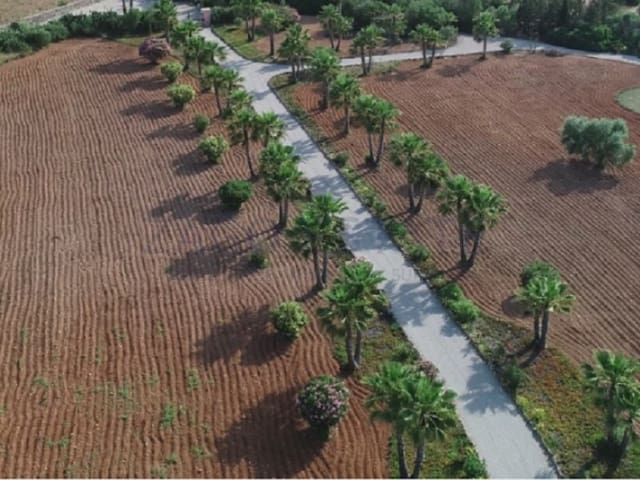 7 chambre Finca/Maison de Campagne à vendre à Inca - 4 600 000 € (Ref: 9780387)