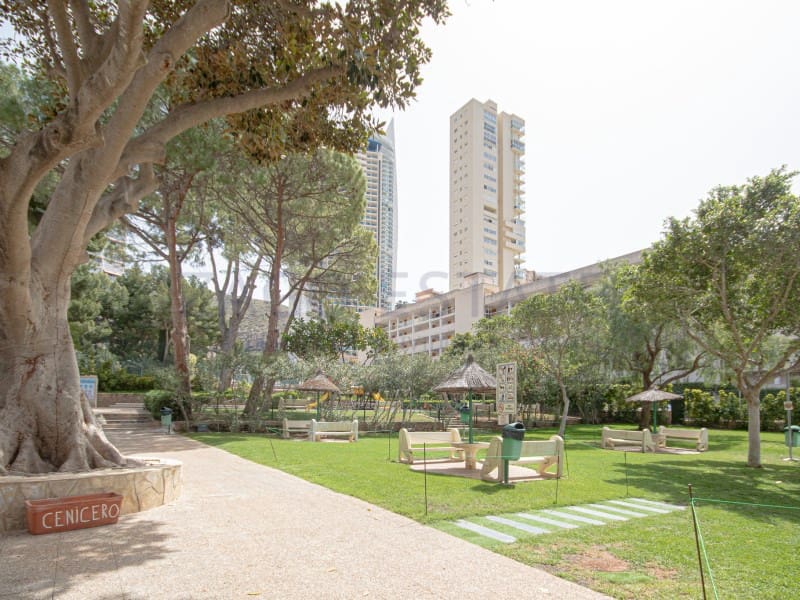 1 bedroom Apartment for holiday rental in Benidorm - € 500 (Ref: 9850992)