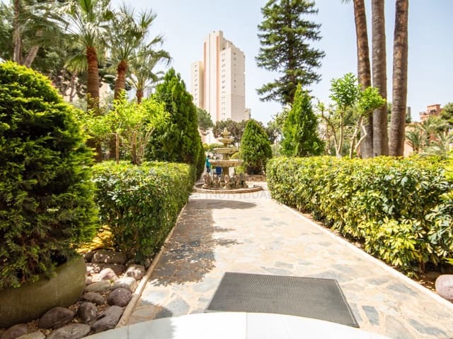 1 bedroom Apartment for holiday rental in Rincón Alto, Benidorm - € 500 (Ref: 9850992)