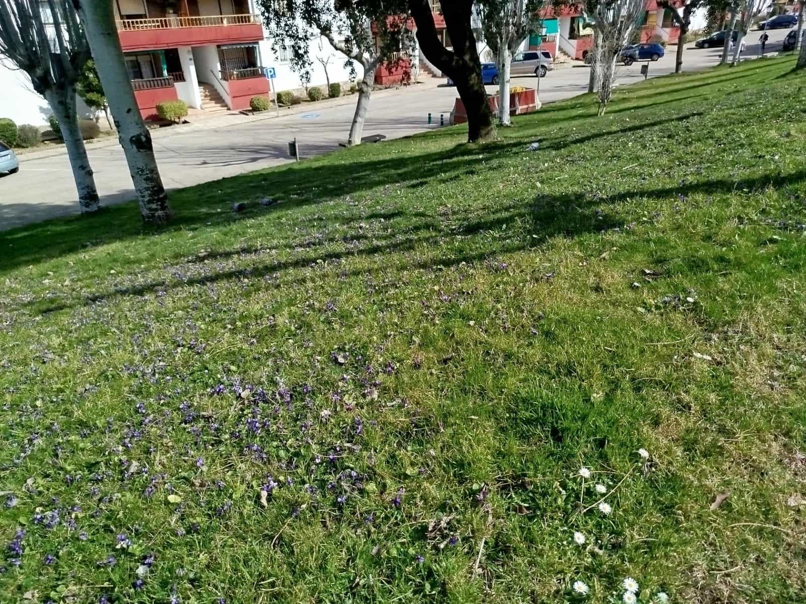 3 bedroom Flat for sale in Pelayos de la Presa with pool - € 110,000 (Ref: 9637712)