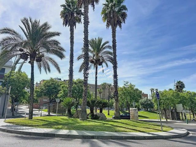 Solar/Parcela en Lucena en venta - 50.000 € (Ref: 10120412)