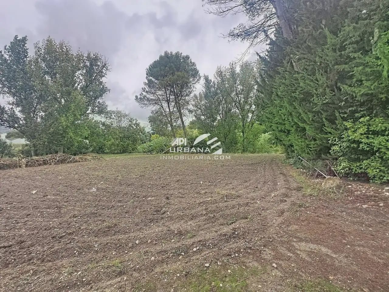 Finca/Casa Rural de 4 habitaciones en Rute en venta con piscina - 250.000 € (Ref: 10169082)