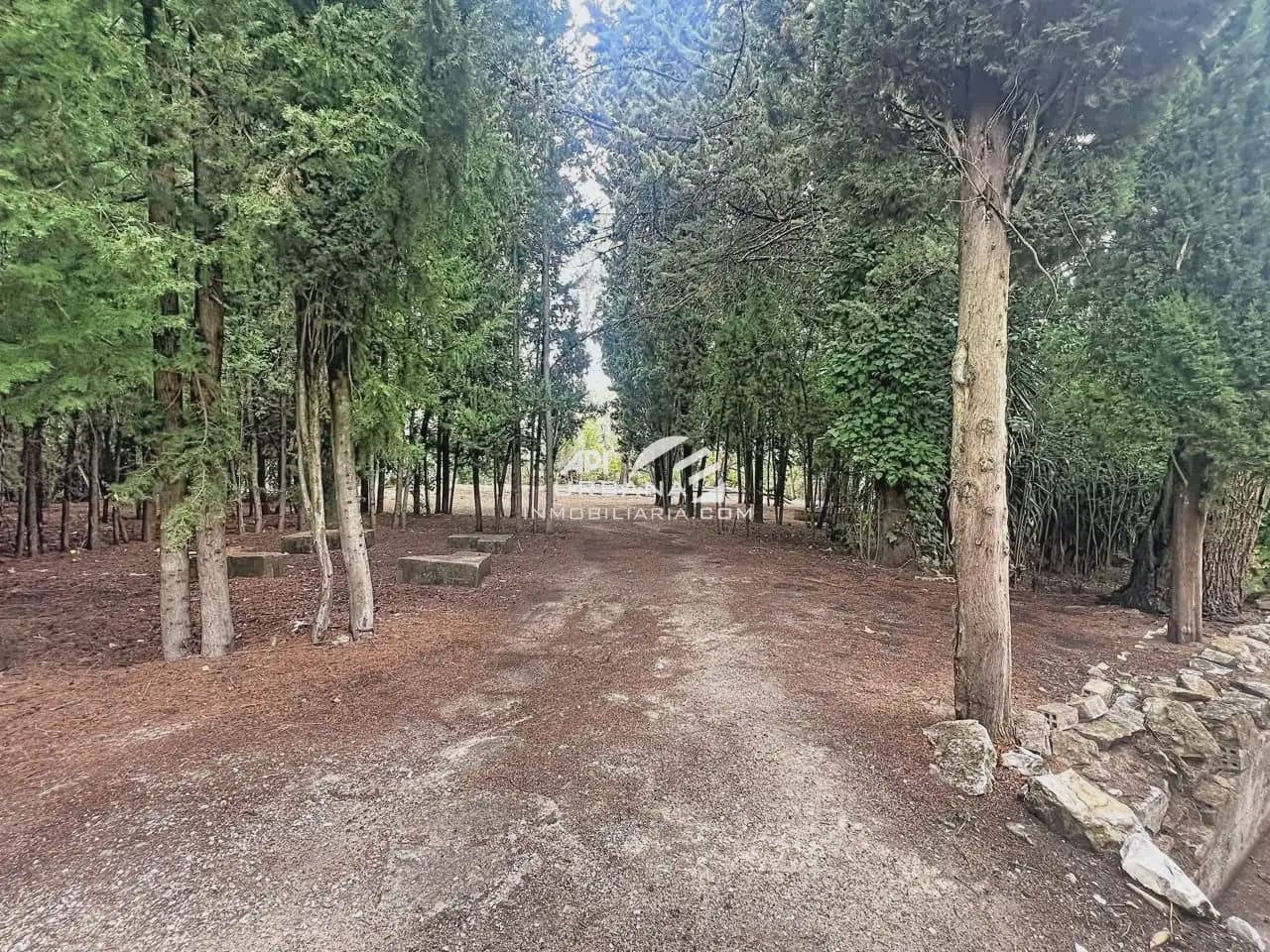 Finca/Casa Rural de 4 habitaciones en Rute en venta con piscina - 250.000 € (Ref: 10169082)