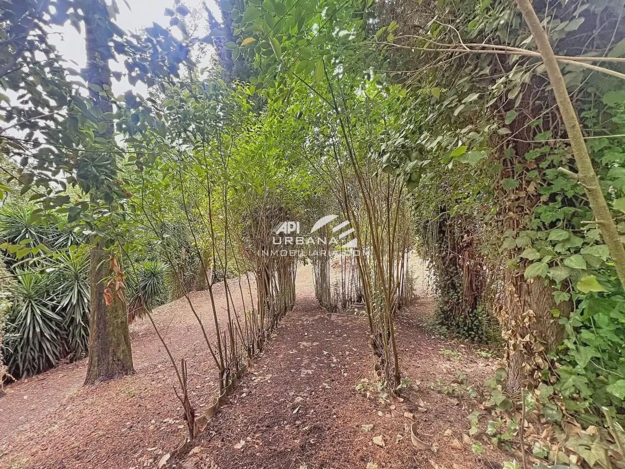 Finca/Casa Rural de 4 habitaciones en Rute en venta con piscina - 250.000 € (Ref: 10169082)