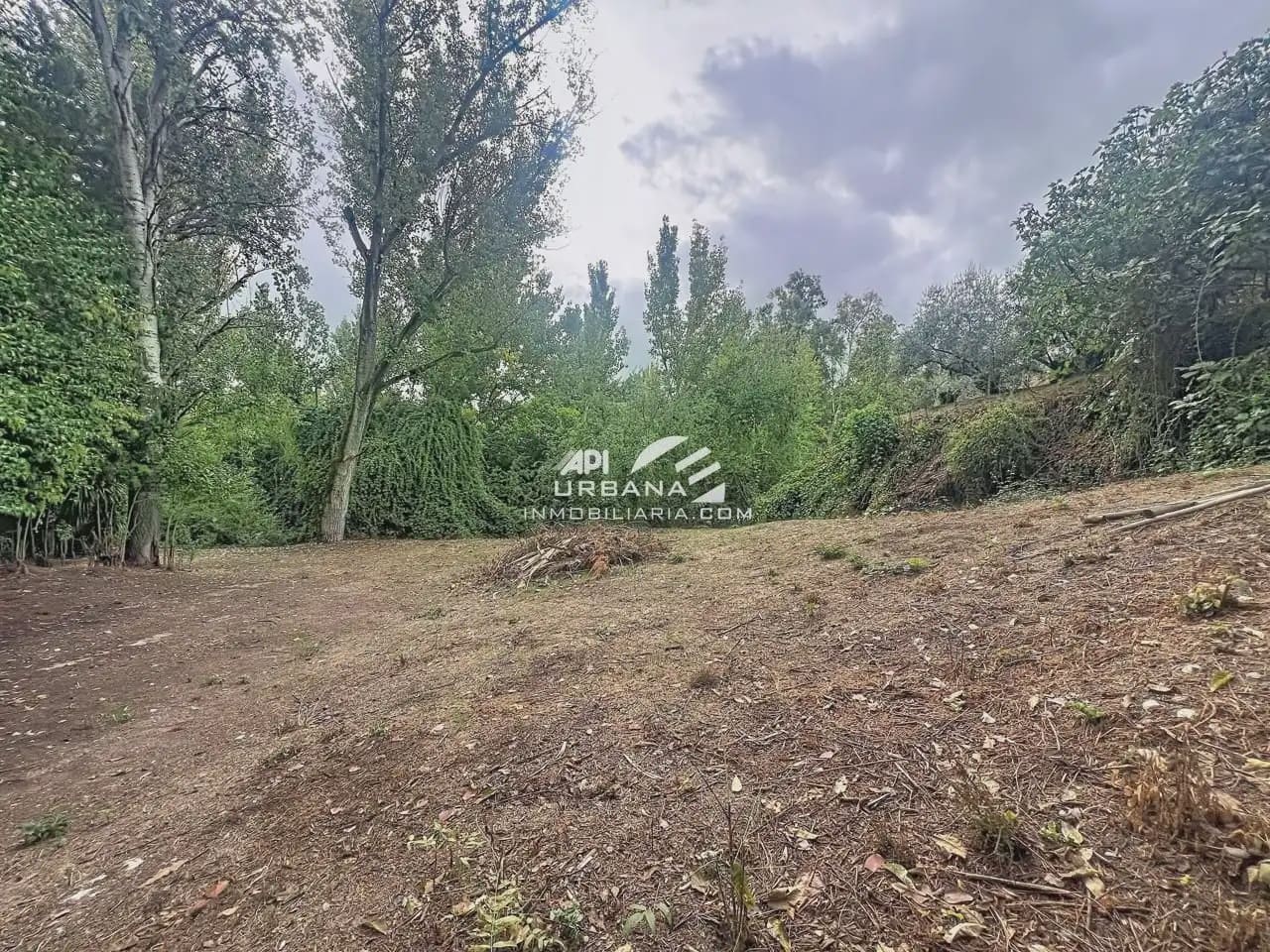 Finca/Casa Rural de 4 habitaciones en Rute en venta con piscina - 250.000 € (Ref: 10169082)