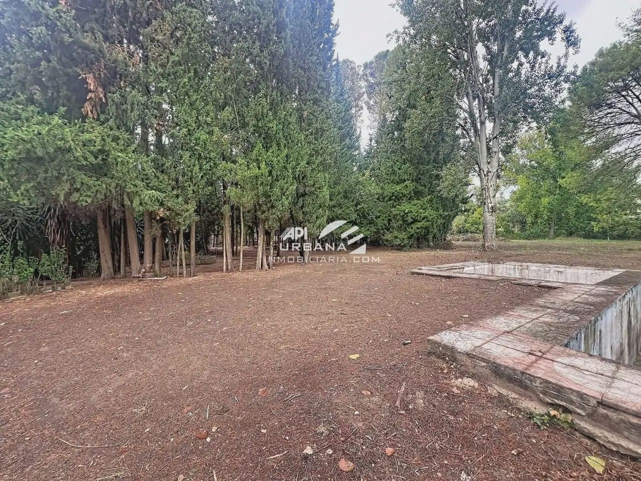 Finca/Casa Rural de 4 habitaciones en Rute en venta con piscina - 250.000 € (Ref: 10169082)