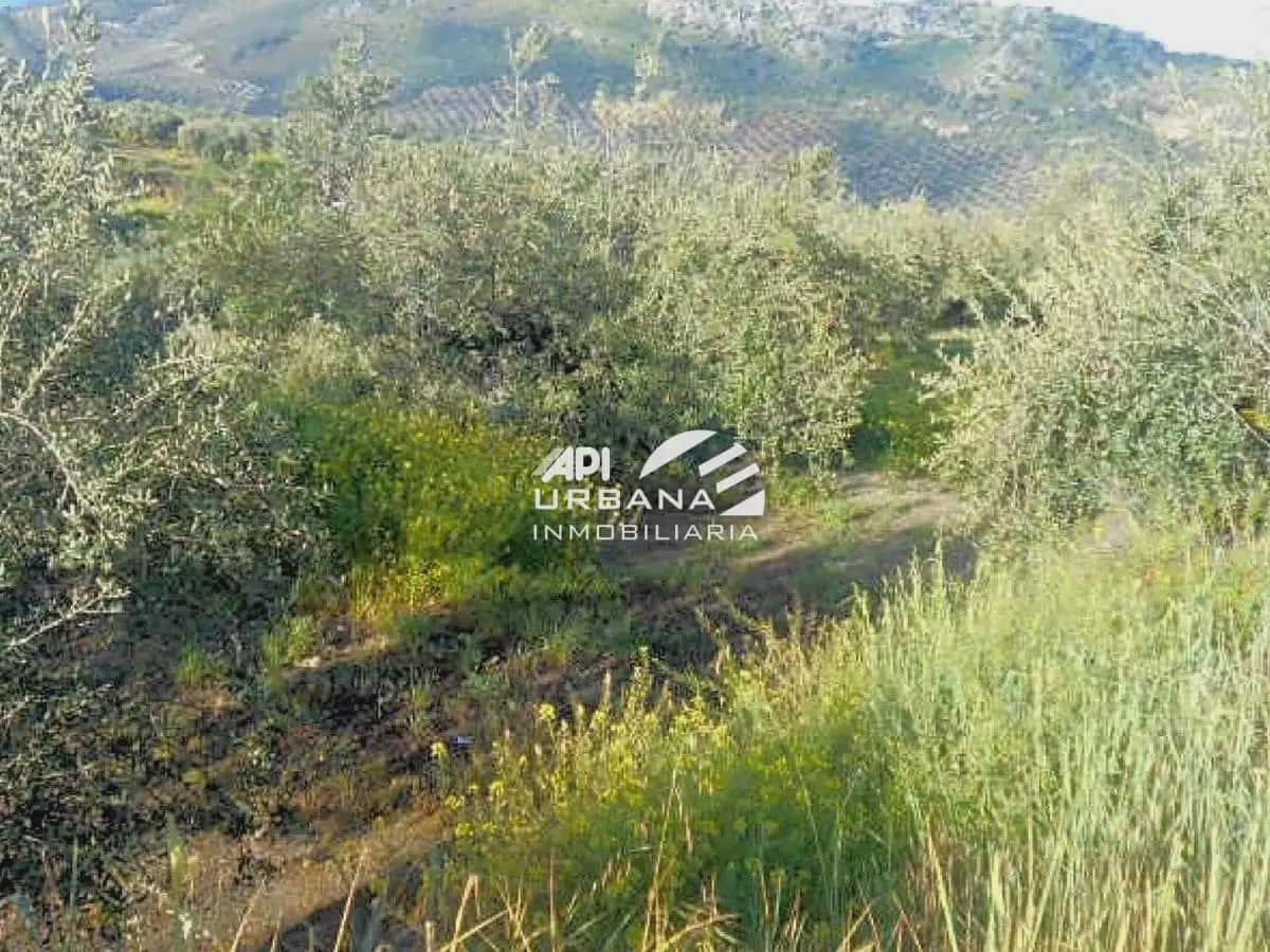 Bouwgrond te koop in Priego de Cordoba - € 56.500 (Ref: 9963587)