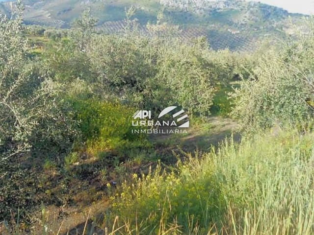 Bouwgrond te koop in Priego de Córdoba - € 56.500 (Ref: 9963587)