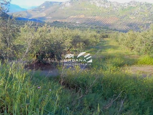 Bouwgrond te koop in Priego de Córdoba - € 56.500 (Ref: 9963587)