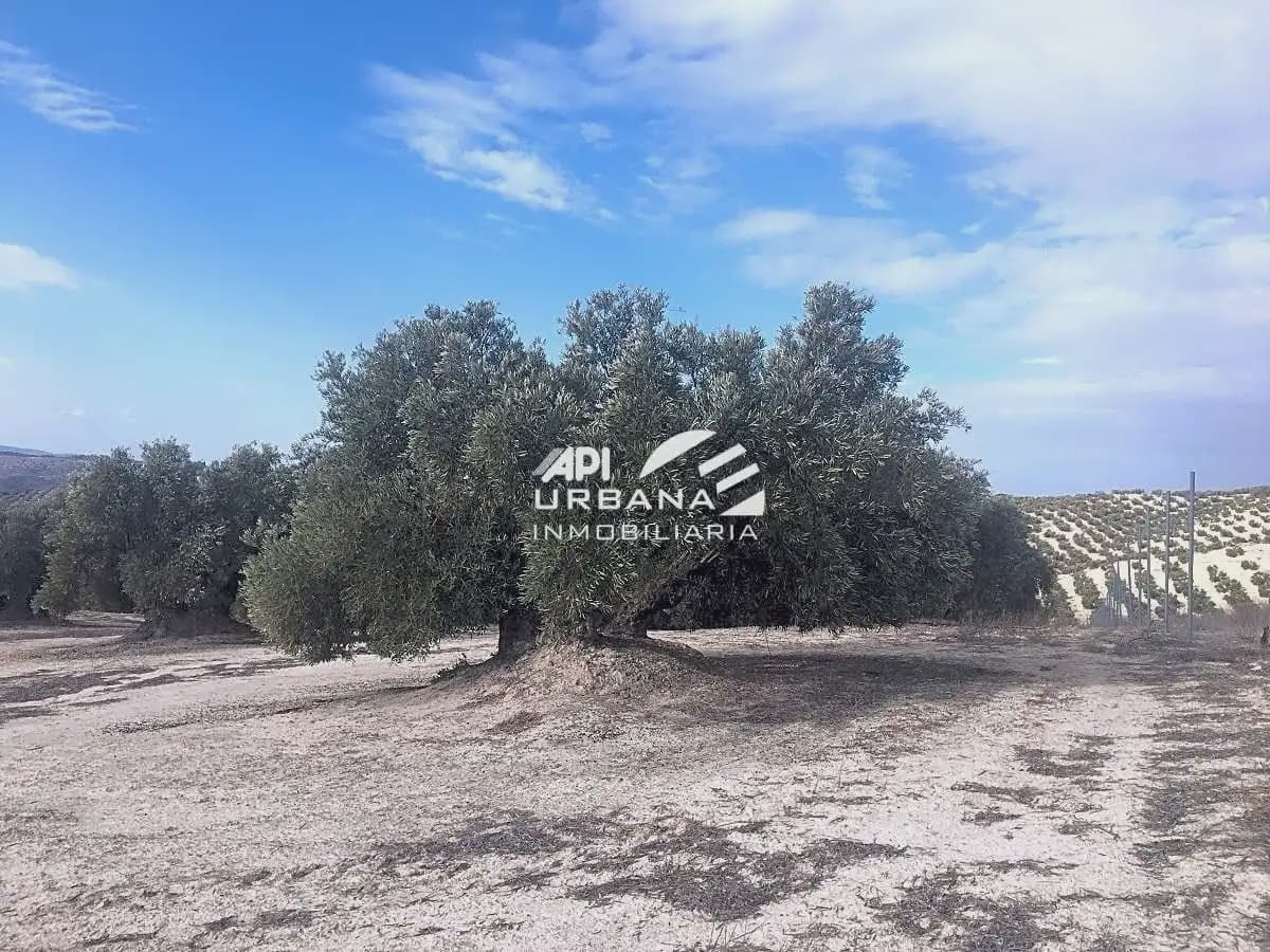 Bouwgrond te koop in Aguilar de la Frontera - € 125.000 (Ref: 9963589)