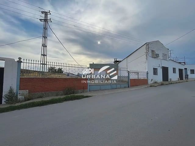 Commercieel te koop in Lucena - € 350.000 (Ref: 9963608)