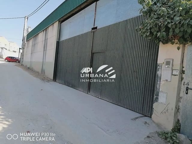 Commercial for sale in Lucena - € 320,000 (Ref: 9963619)