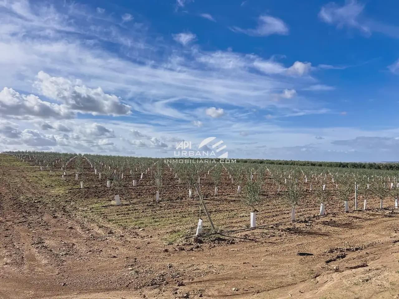 Finca/Landhuis te koop in Ecija - € 3.300.000 (Ref: 9963641)