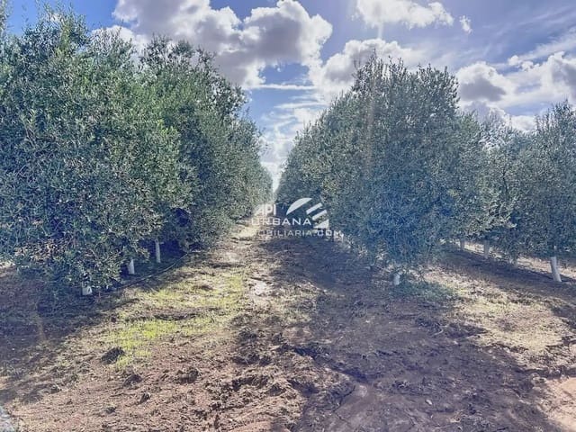 Finca/Herregård til salgs i Ecija - € 3 300 000 (Ref: 9963641)