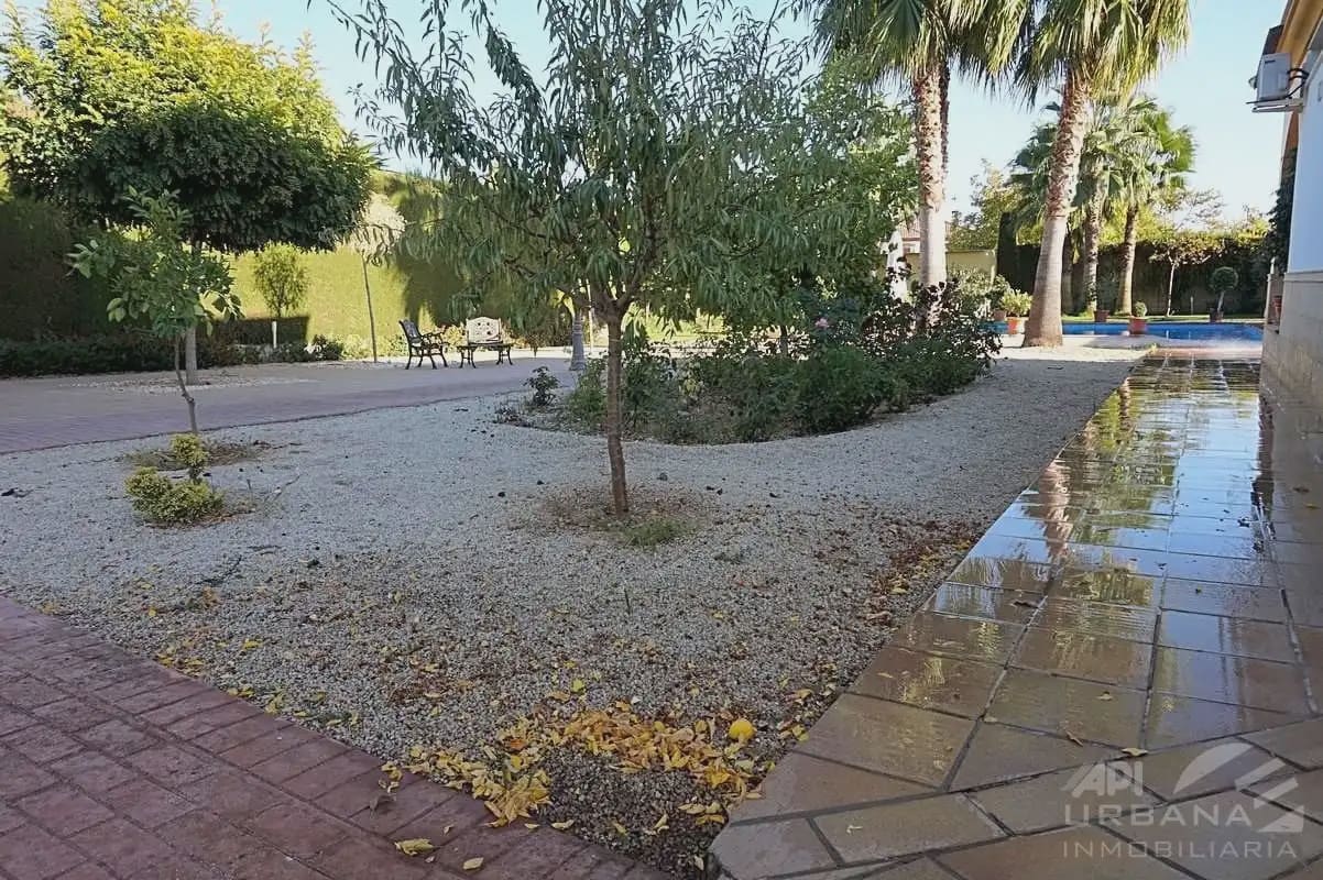 5 bedroom Villa for sale in Lucena with pool - € 550,000 (Ref: 9963645)