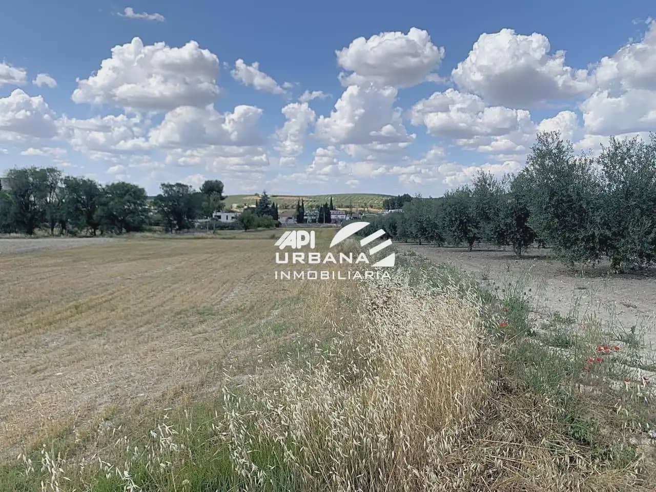 Bouwgrond te koop in Lucena - € 30.000 (Ref: 9963661)
