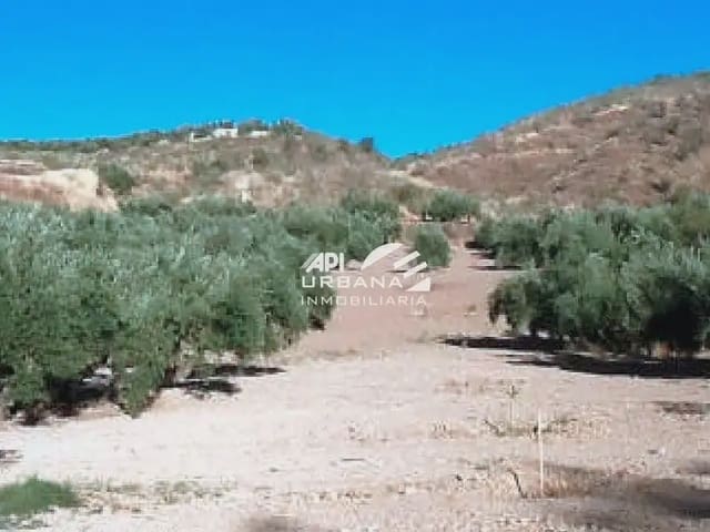 Bouwgrond te koop in Priego de Córdoba - € 63.000 (Ref: 9963674)