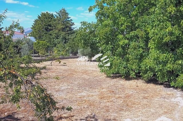 6 soveværelse Finca/Landehus til salg i Lucena med swimmingpool - € 285.000 (Ref: 9963703)