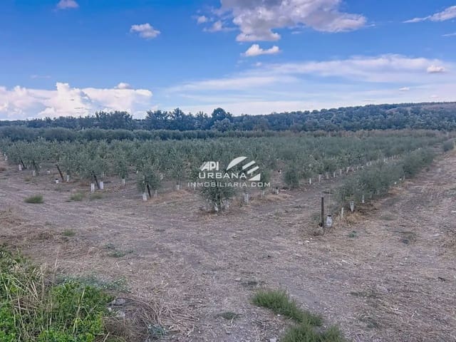 Bouwgrond te koop in Monturque - € 70.000 (Ref: 9963790)