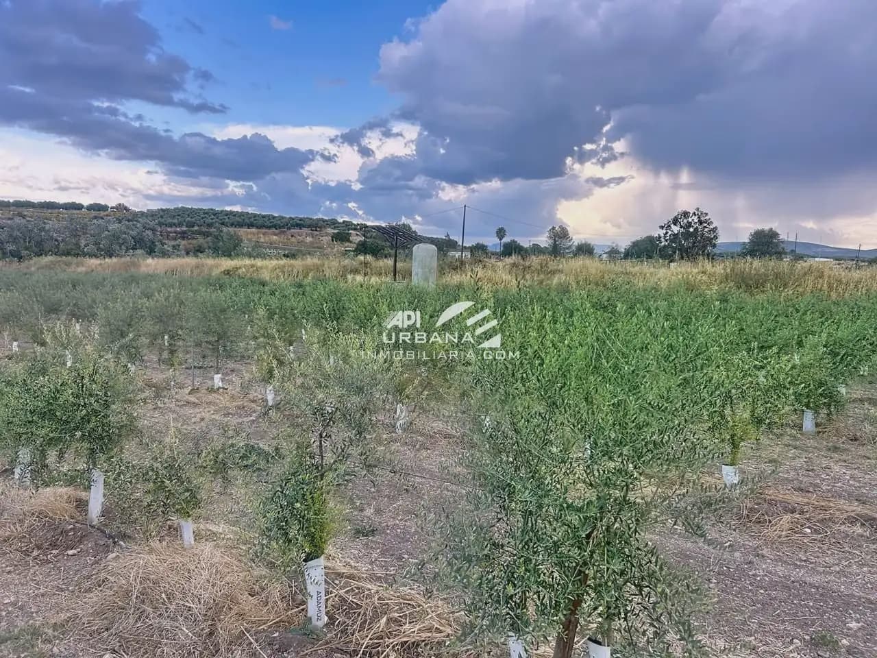 Bouwgrond te koop in Monturque - € 70.000 (Ref: 9963790)