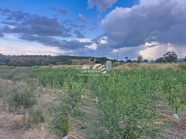 Bouwgrond te koop in Monturque - € 70.000 (Ref: 9963790)