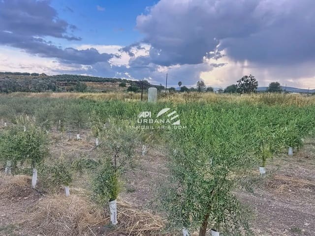 Bouwgrond te koop in Monturque - € 70.000 (Ref: 9963790)