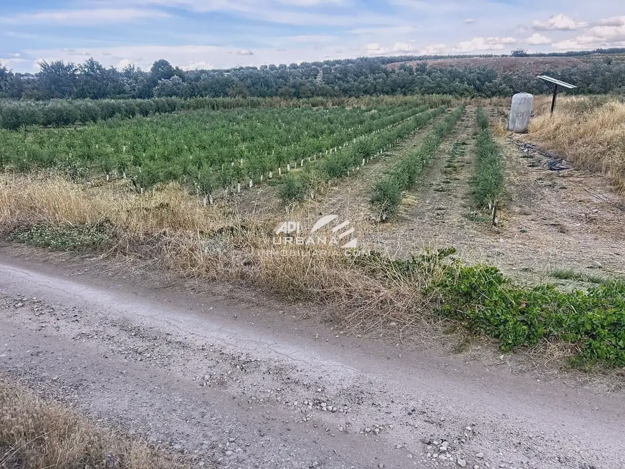 Bouwgrond te koop in Monturque - € 70.000 (Ref: 9963790)