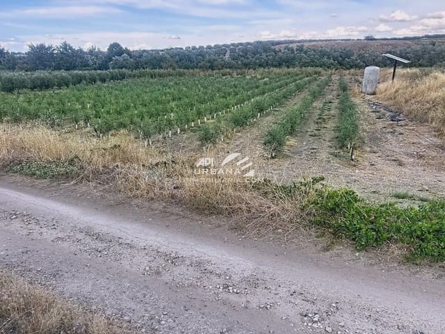 Bouwgrond te koop in Monturque - € 70.000 (Ref: 9963790)