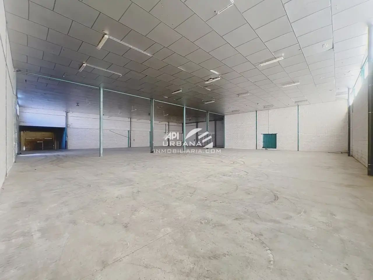 Commerciale da affittare in Lucena - 1.650 € (Rif: 9963802)