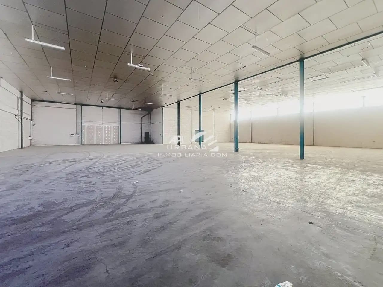 Commerciale da affittare in Lucena - 1.650 € (Rif: 9963802)