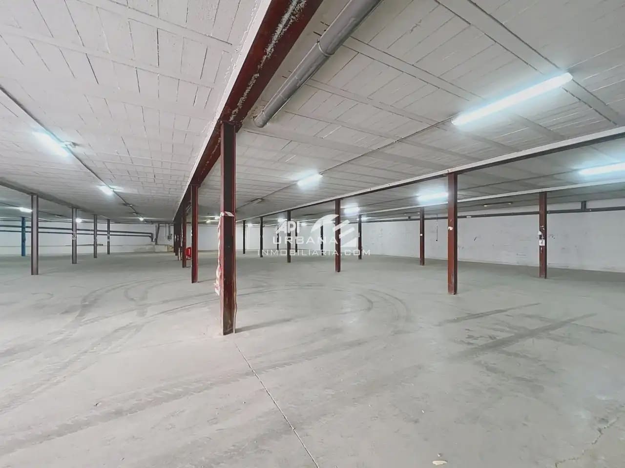 Commerciale da affittare in Lucena - 1.650 € (Rif: 9963802)