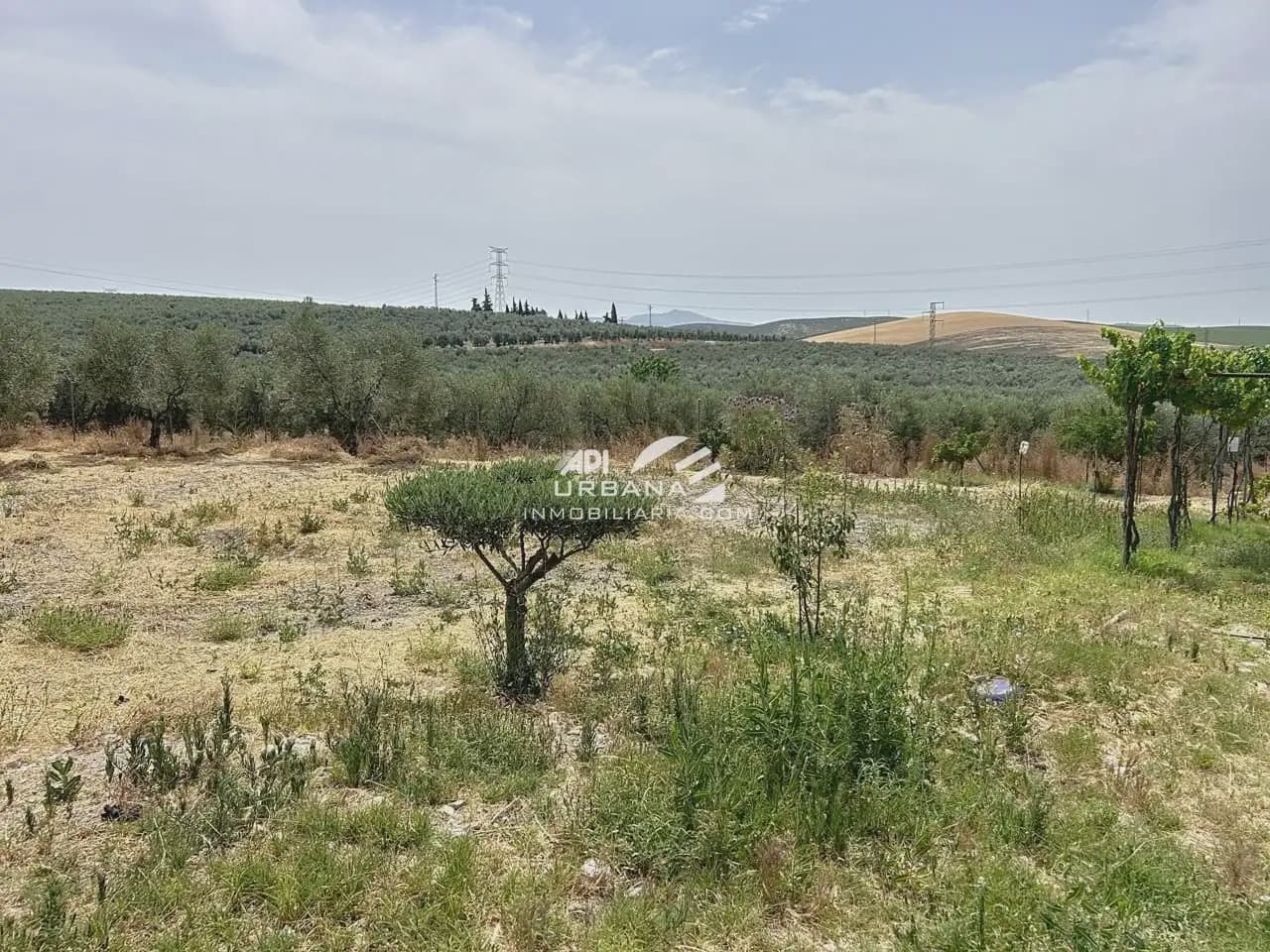 4 bedroom Villa for sale in Lucena with pool - € 285,000 (Ref: 9963869)