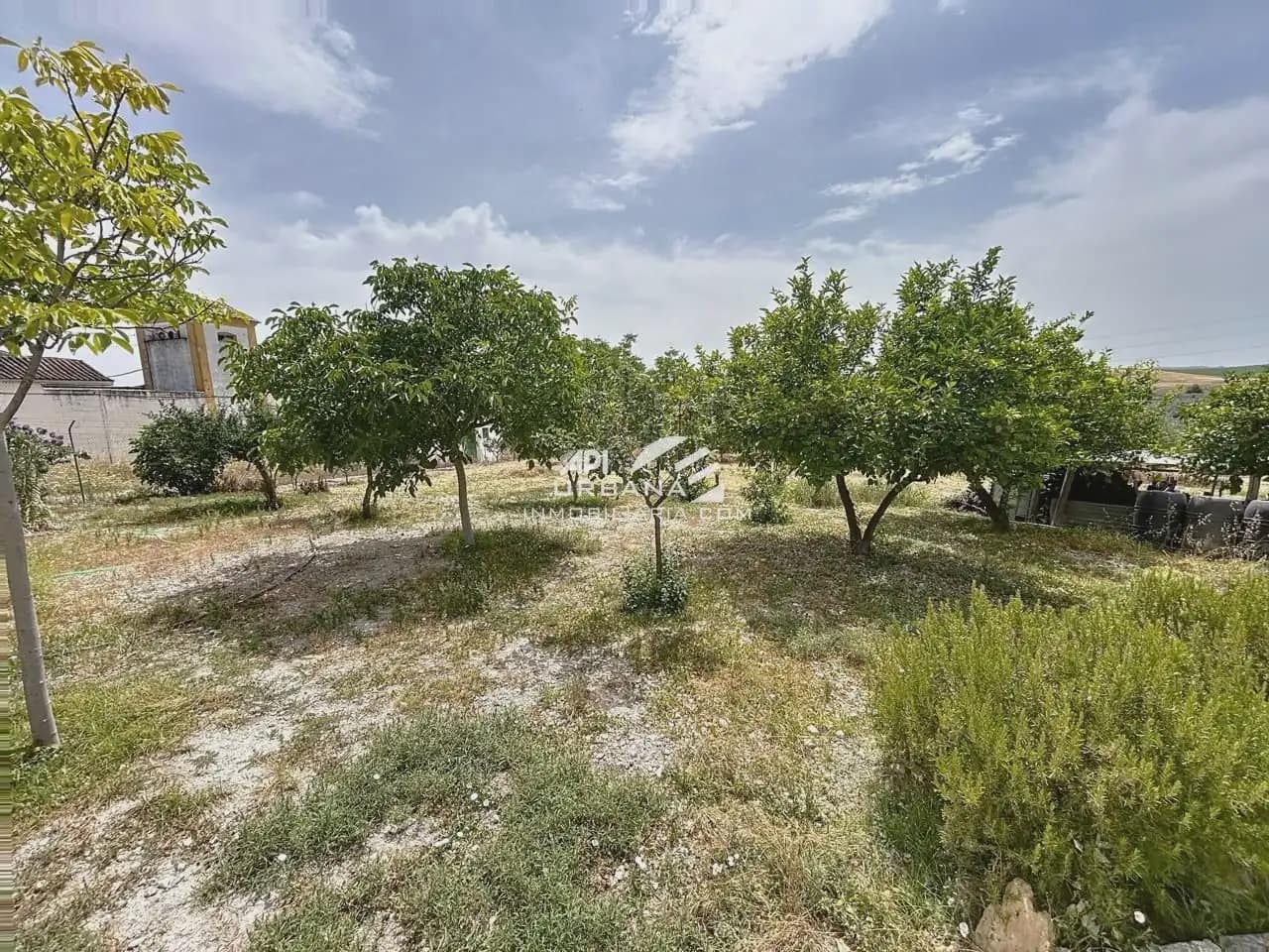 4 bedroom Villa for sale in Lucena with pool - € 285,000 (Ref: 9963869)
