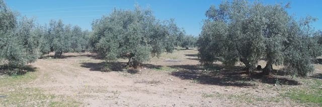 Bouwgrond te koop in Lucena - € 95.000 (Ref: 9963872)